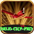 2019 world cup Casino King v4.0.0
