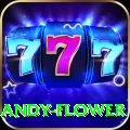 andy flower Max v5.3.4