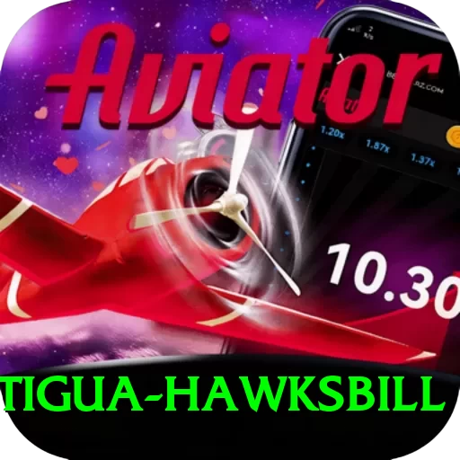 antigua hawksbill Turbo v3.1.4 - 2