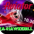 antigua hawksbill Turbo v3.1.4