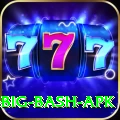 bbl big bash apk Elite v2.9.9