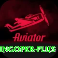 bingopkr Plus v2.9.0