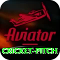 cricket pitch Plus Edition v2.4.7