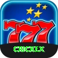 crickex Premium Plus vv4.4.9