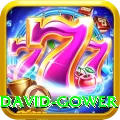 david gower VIP Edition v5.6.2