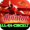 fastest ball in cricket Apps (Tools & Injectors) Premium v1.8.6