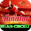 india pakistan cricket Premium v4.8.5