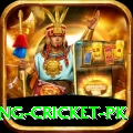 make money betting cricket pk Turbo v2.4.4