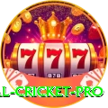 most runs in international cricket Live Casino VIP
