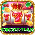 netherlands cricket team Master Pro v4.3.3