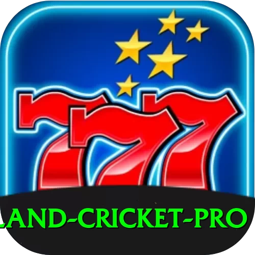 new zealand cricket Casino Official v1.0.2 - 2