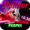 pkspin Max vv2.6.4