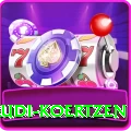 rudi koertzen VIP Pro v4.0.9