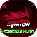 test cricket live Premium Edition v1.5.3