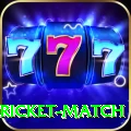 to day cricket match Plus Edition v4.7.2