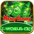 under 19 cricket world cup Plus Edition v4.5.3