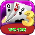 wc t20 Apps (Tools & Injectors) Turbo v1.2.4